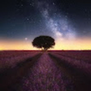 Meet your Posher, Vee